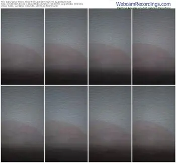 sakuralive-ohlady010-06-22-2025-18-30-22