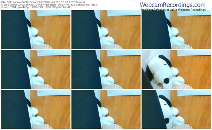 sakuralive-hiyokosss-06-23-2025-16-23-39