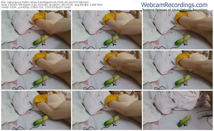 sakuralive-axmegumixa-06-24-2025-01-57-38