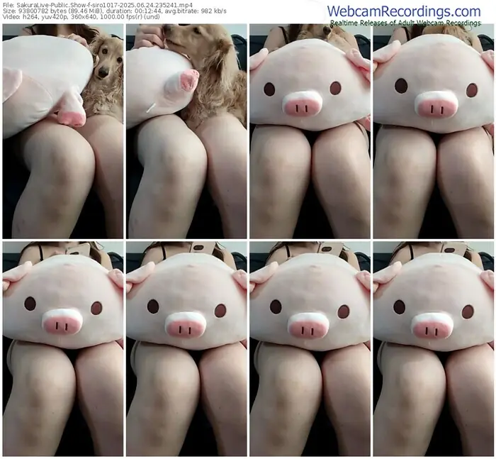 sakuralive-siro1017-06-24-2025-23-52-41