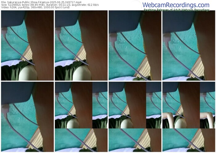 sakuralive-kamye-06-25-2025-04-37-17