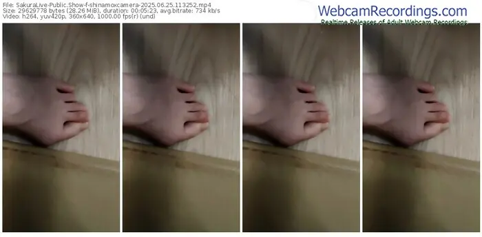 sakuralive-shinamoxcamera-06-25-2025-11-32-52