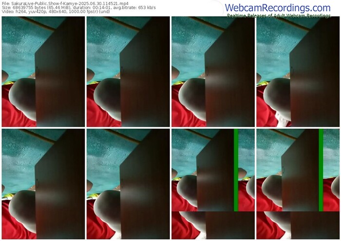 sakuralive-kamye-06-30-2025-11-45-21