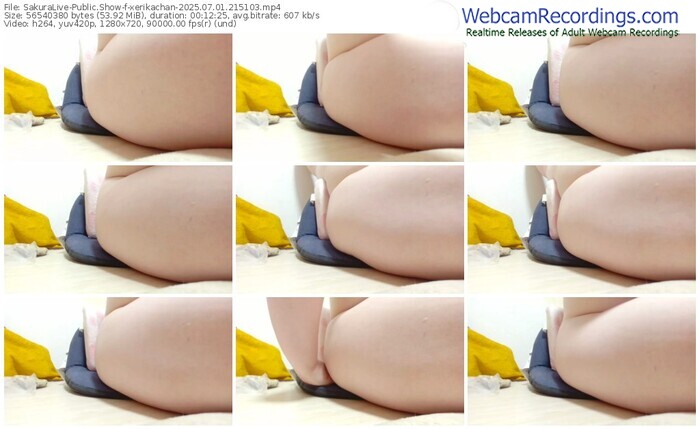 sakuralive-xerikachan-07-01-2025-21-51-03