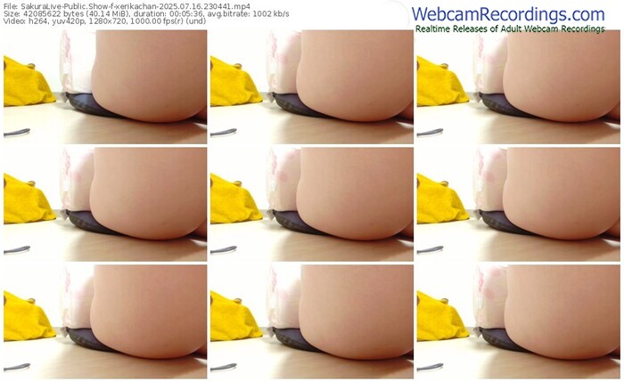 sakuralive-xerikachan-07-16-2025-23-04-41