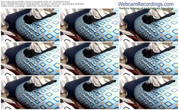 sakuralive-anne0v0-07-23-2025-05-09-15