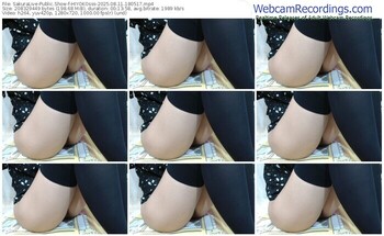 sakuralive-hiyokosss-08-11-2025-18-05-17