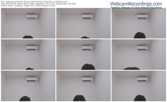 sakuralive-hoshikost-08-13-2025-16-58-22