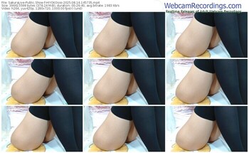 sakuralive-hiyokosss-08-14-2025-14-57-35