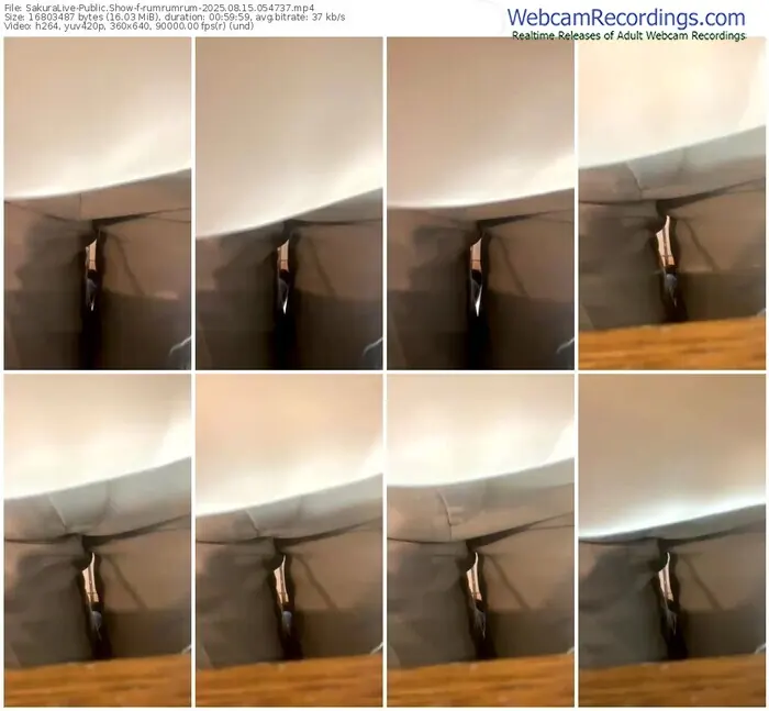 sakuralive-rumrumrum-08-15-2025-05-47-37