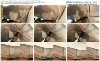 sakuralive-rumrumrum-08-15-2025-07-46-17