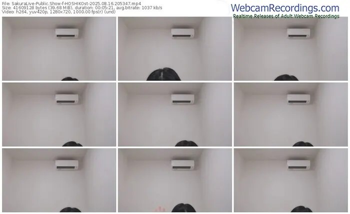 sakuralive-hoshikost-08-16-2025-20-53-47