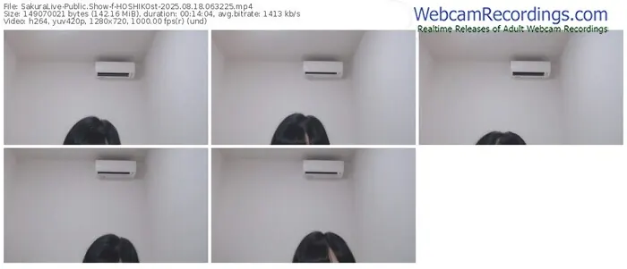 sakuralive-hoshikost-08-18-2025-06-32-25