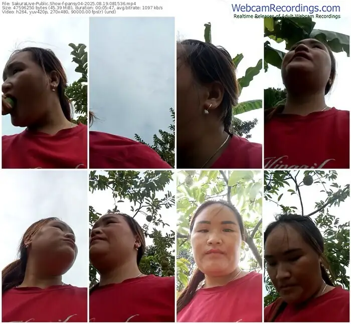 sakuralive-pansy04-08-19-2025-08-15-36