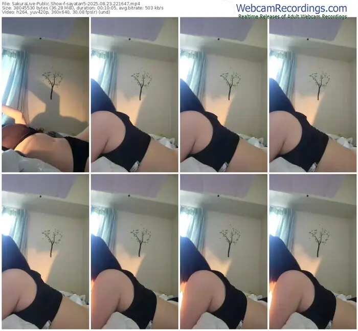 sakuralive-sayatan5-08-23-2025-22-16-47