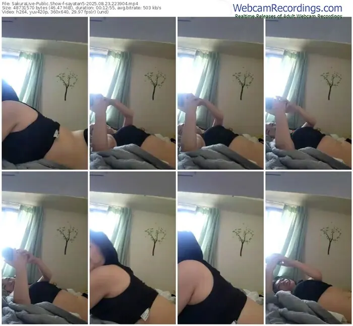 sakuralive-sayatan5-08-23-2025-22-39-04