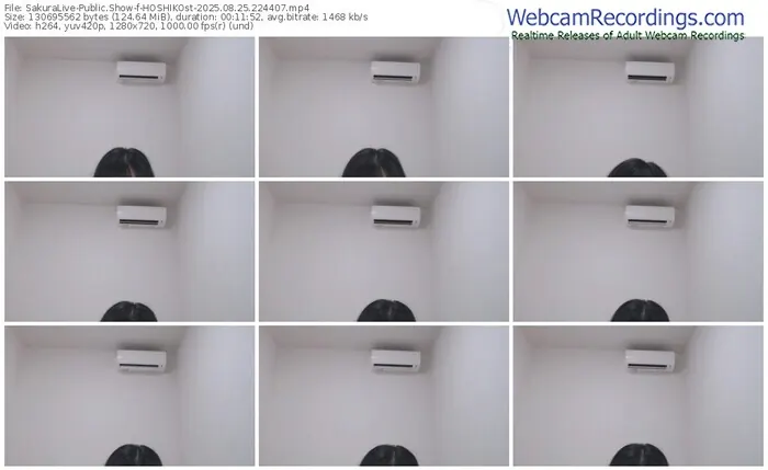 sakuralive-hoshikost-08-25-2025-22-44-07