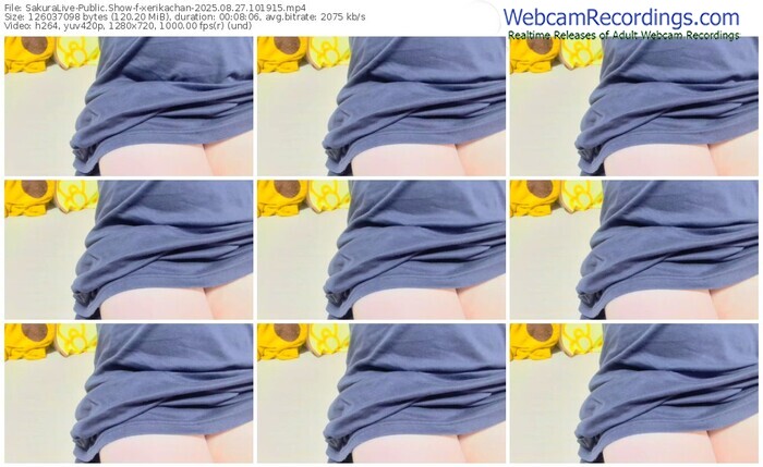 sakuralive-xerikachan-08-27-2025-10-19-15