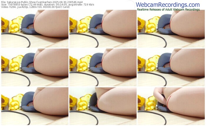 sakuralive-xerikachan-08-30-2025-23-05-46