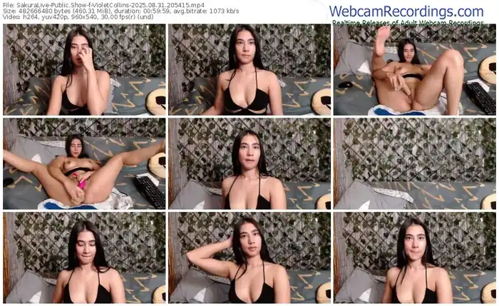 sakuralive-violetcollins-08-31-2025-20-54-15