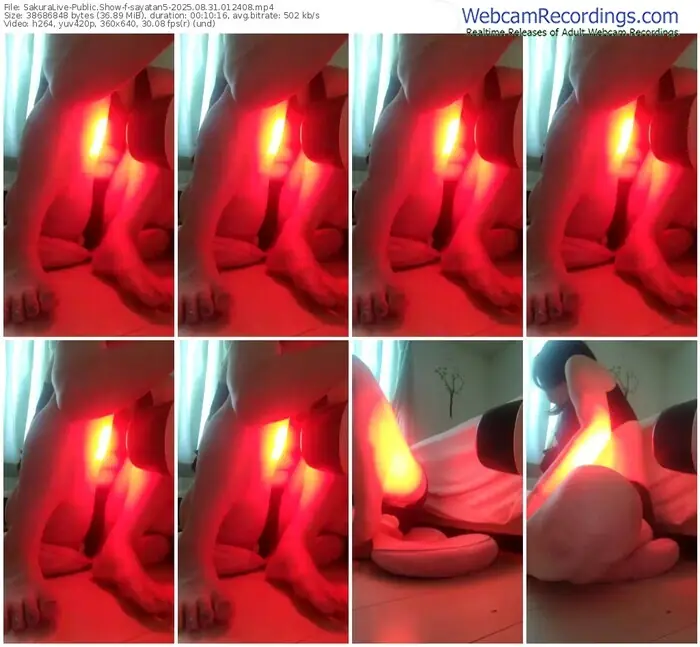 sakuralive-sayatan5-08-31-2025-01-24-08