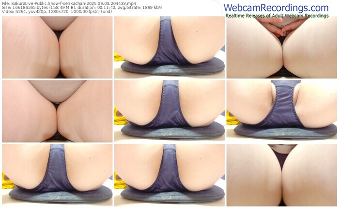 sakuralive-xerikachan-09-03-2025-20-44-33