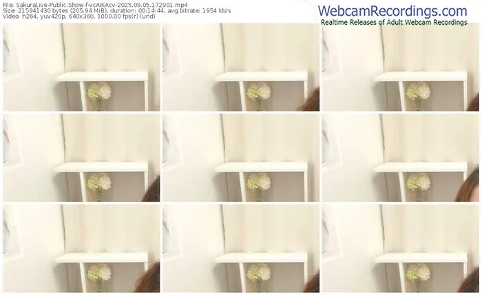 sakuralive-vcaikacv-09-05-2025-17-29-01