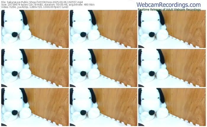 sakuralive-hiyokosss-09-06-2025-19-25-57