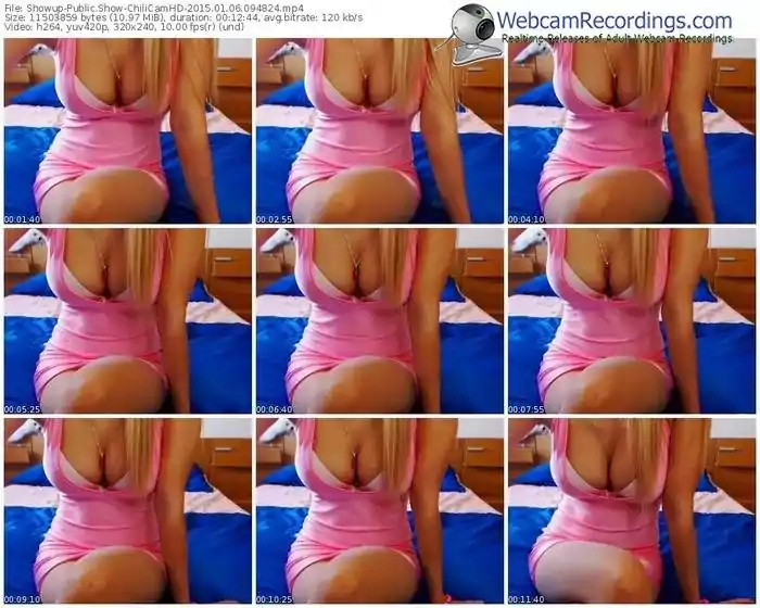 showup-chilicamhd-public-show-01_06_2015-09_48_24