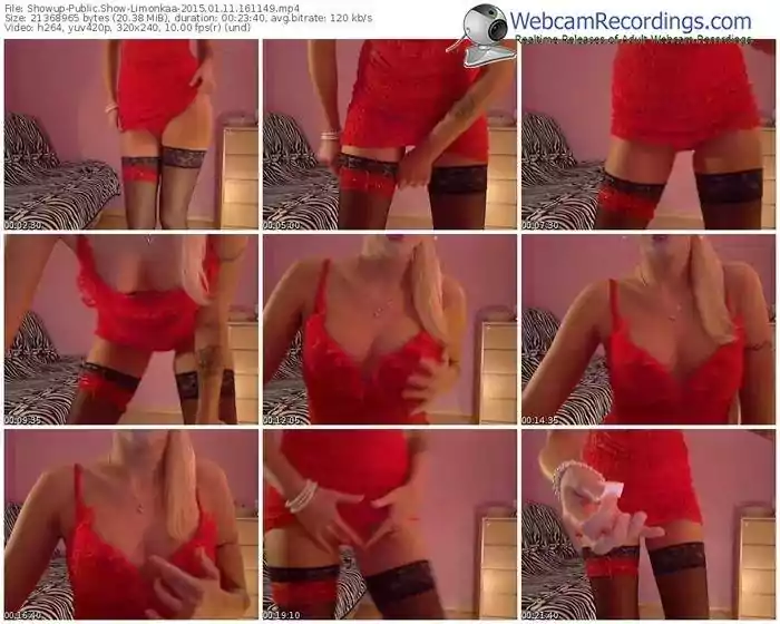 showup-limonkaa-public-show-01_11_2015-16_11_49