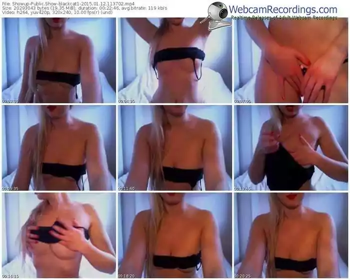 showup-blackcat1-public-show-01_12_2015-11_37_02