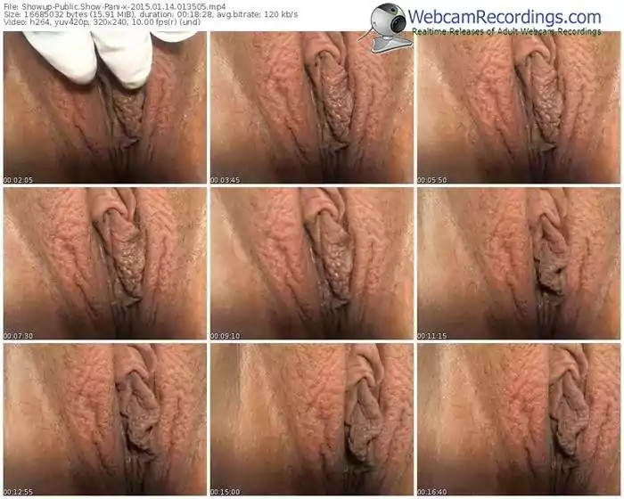 showup-pani-public-show-01_14_2015-01_35_05
