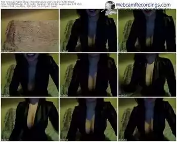 showup-chloesignature-public-show-01_15_2015-15_28_33