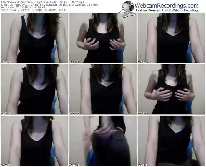 showup-niepozorna18-public-show-01_17_2015-16_30_02