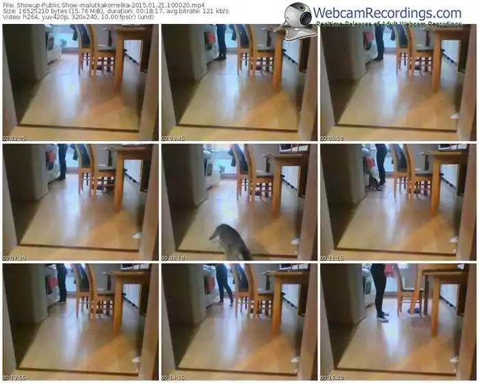 showup-malutkakornelka-public-show-01_21_2015-10_00_20