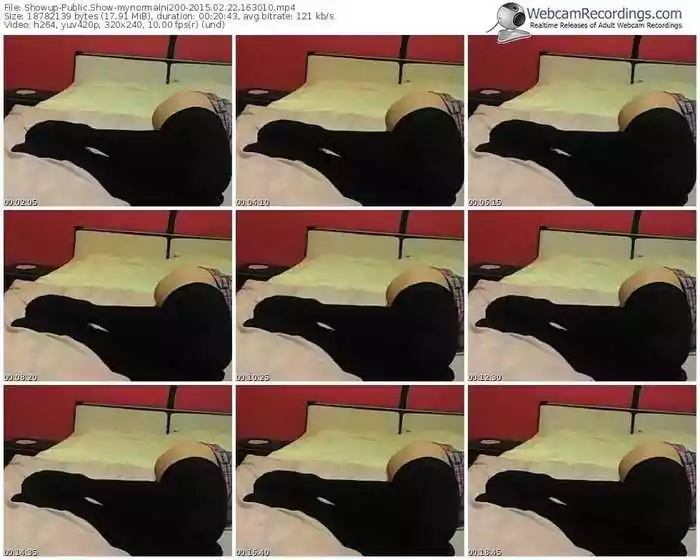 showup-mynormalni200-public-show-02_22_2015-16_30_10