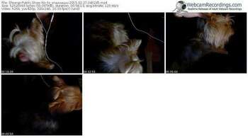 showup-no_to_sruuuuuuu-public-show-02_27_2015-04_02_45