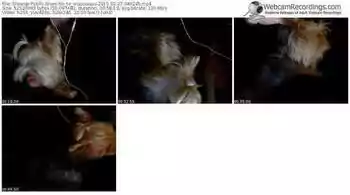 showup-no_to_sruuuuuuu-public-show-02_27_2015-04_02_45