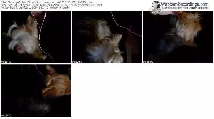 showup-no_to_sruuuuuuu-public-show-02_27_2015-04_02_45