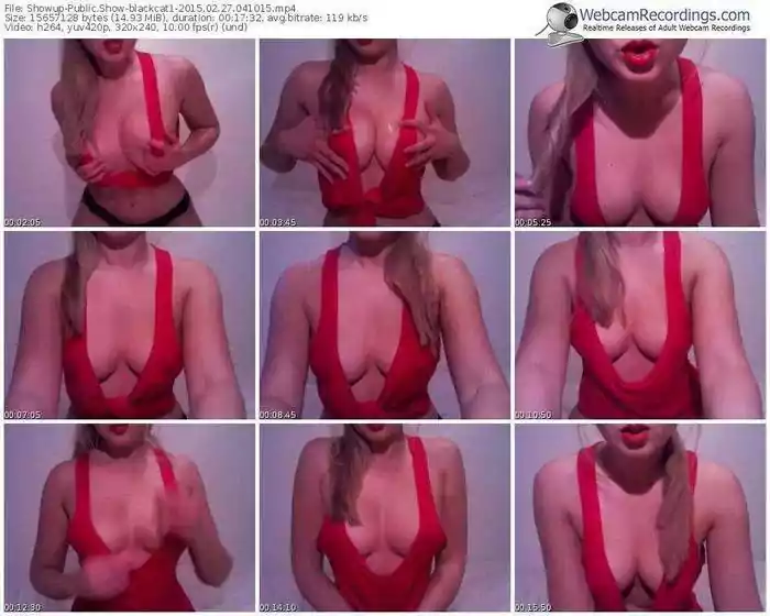 showup-blackcat1-public-show-02_27_2015-04_10_15