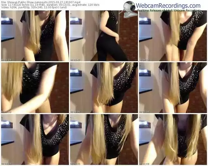 showup-jumpsuits-public-show-03_27_2015-18_19_07