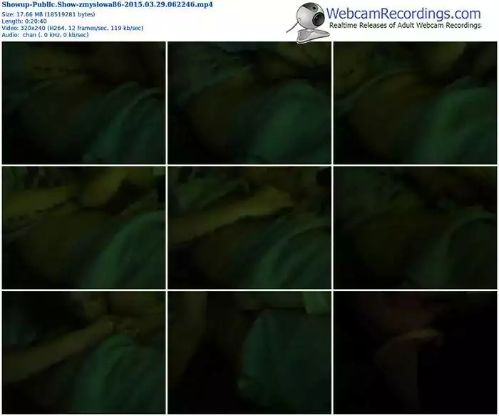 showup-zmyslowa86-public-show-03_29_2015-06_22_46