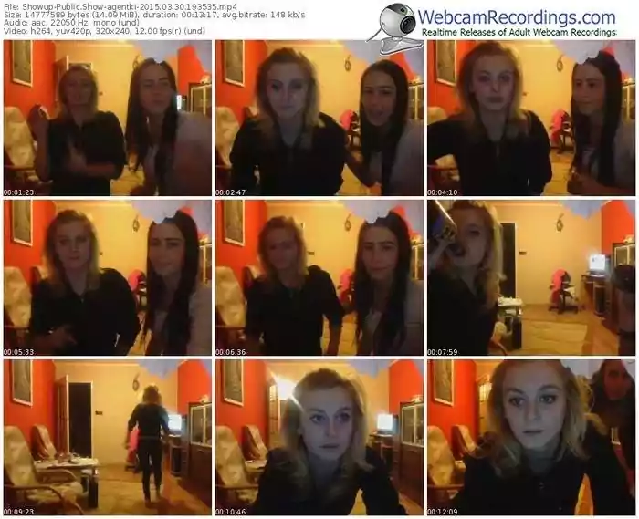 showup-agentki-public-show-03_30_2015-19_35_35