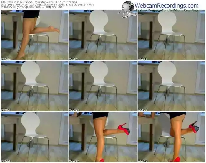 showup-boginistop-public-show-04_07_2015-22_37_39