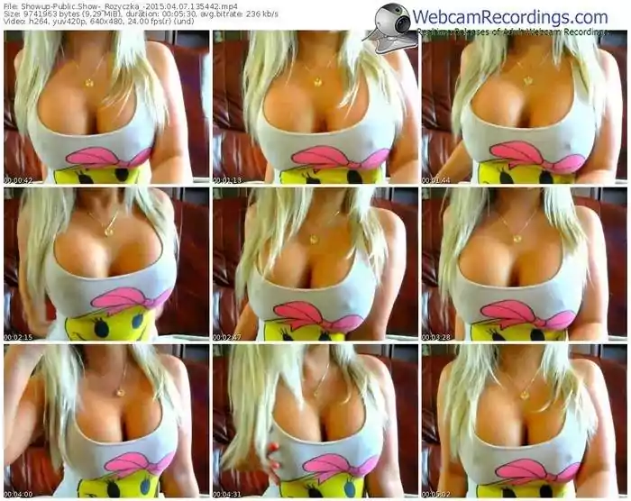 showup-_rozyczka_-public-show-04_07_2015-13_54_42