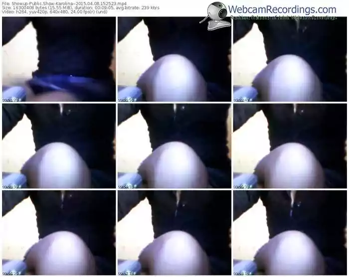 showup-karolina-public-show-04_08_2015-15_25_23