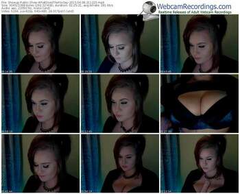 showup-whatdoesthefoxsay-public-show-04_08_2015-21_12_20
