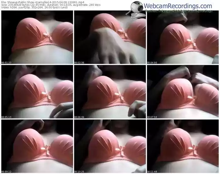 showup-czarnulka14-public-show-04_08_2015-13_39_01