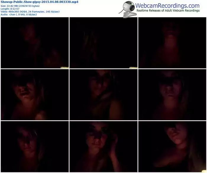 showup-gipsy-public-show-04_08_2015-00_33_30