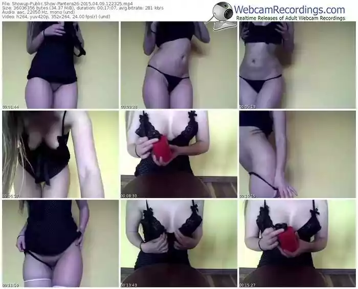 showup-pantera26-public-show-04_09_2015-12_23_25